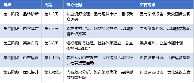 落地实施路径表