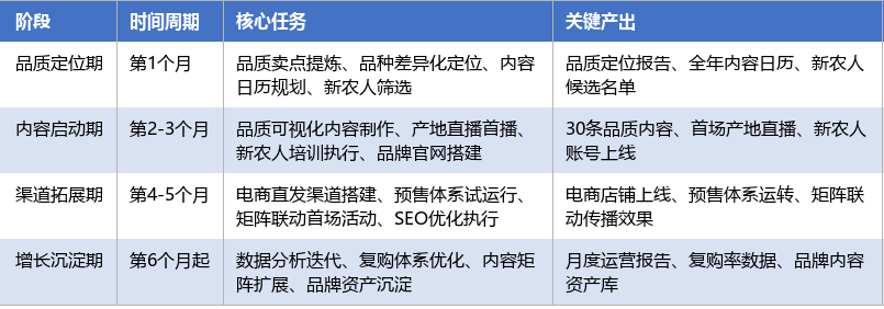 落地实施路径表