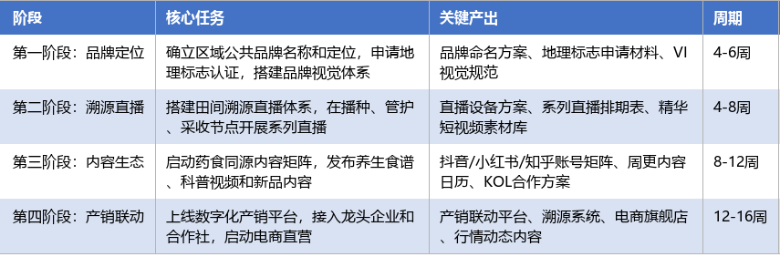 落地实施路径表