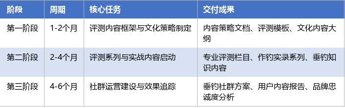 落地实施路径表