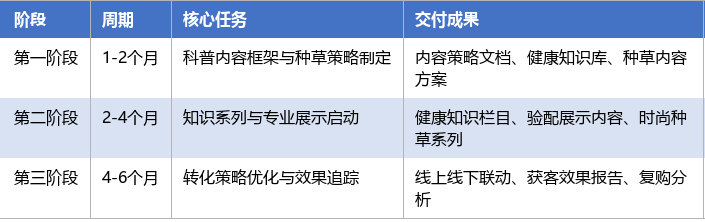 落地实施路径表